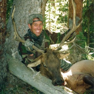 Rocky Mtn. Elk-Colorado