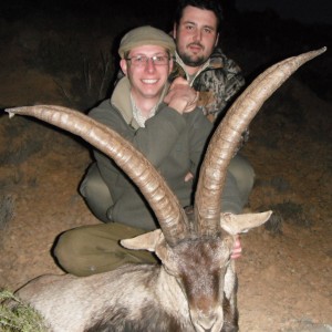 Hunting Ibex in Spain