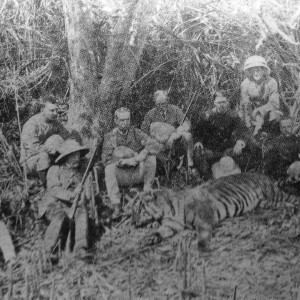 Hunting Tiger 1885