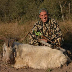 Feral Goat- Argentina
