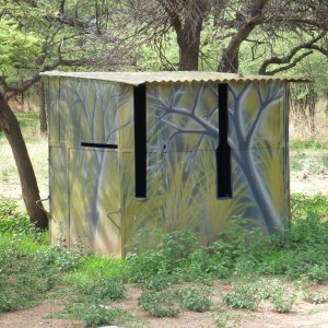 Bow Blind Namibia