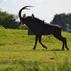 Namibia