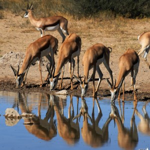 Namibia