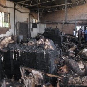 Fire at Trophy Warehouse in Zimbabwe Bulawayo