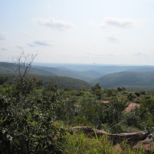 Kwalata views