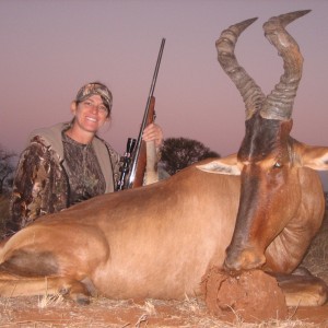 Lisa's Red Hartebeest. Limcroma Safaris 2009