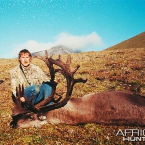 Mountain Caribou