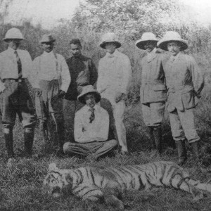 Rare Tiger hunting photographs from 1895 to 1907