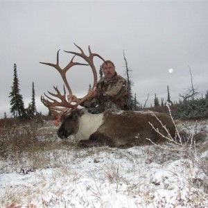 Central Canada Barren Ground Caribou