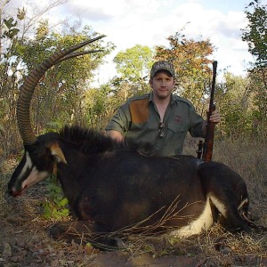 Sable Zimbabwe