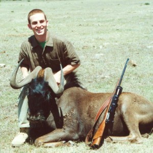 Andy - Black Wildebeest 1996