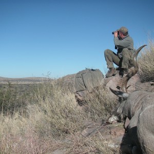 namibia, aru game lodge