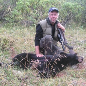 black bear in alaska