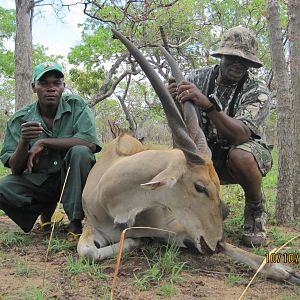Hunting eland in Tanzania - Liwale