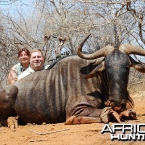 Motsomi Safaris - Blue wildebeest