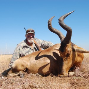 Motsomi Safaris - Red Hartebeest