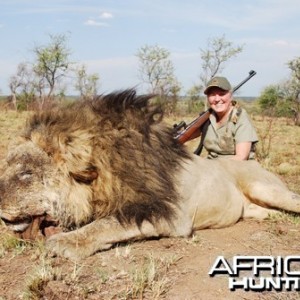 Motsomi Safaris - Lion