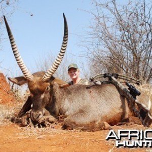 Motsomi Safaris - Waterbuck