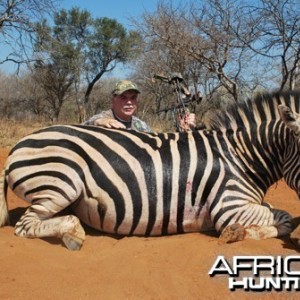 Motsomi Safaris - Zebra