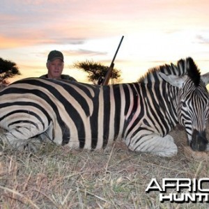 Motsomi Safaris - Zebra