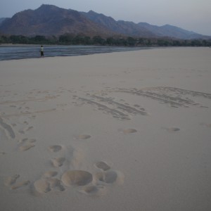 fishing below mupata gorge to lower zambezi NP