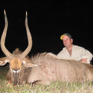 Nyala hunted with Andrew Harvey Safaris