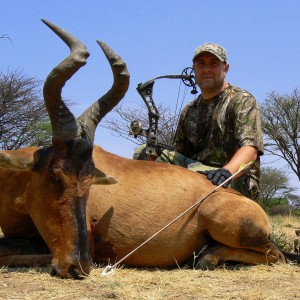 red Hartebeest bowhunted at Ozondjahe Hunting Safaris Namibia