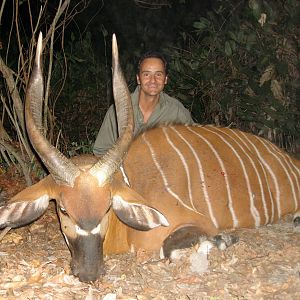 Bongo hunted in Central Africa with Club Faune