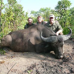 Central African Savannah Buffalo hunted in Central Africa with Club Faune