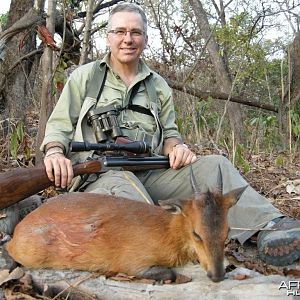 Red-Flanked Duiker hunted in Central Africa with Club Faune