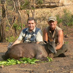 Yellow-Backed Duiker hunted in Central Africa with Club Faune