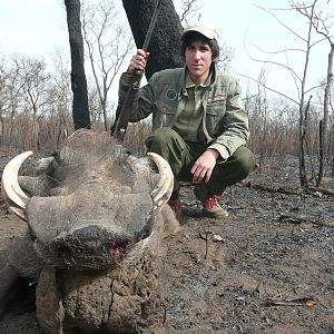 Warthog hunted in Central Africa with Club Faune
