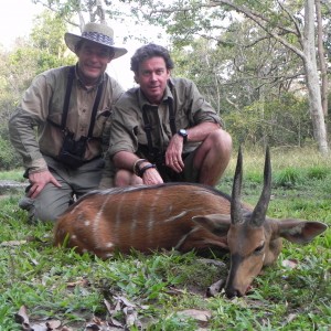Harnessed Bushbuck hunted in Central Africa with Club Faune
