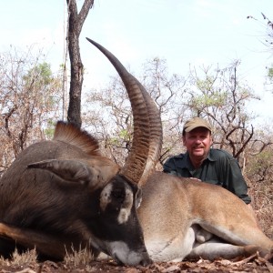 Roan Antelope hunted in CAR