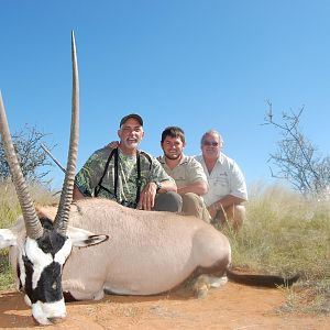 Gemsbok Namibia