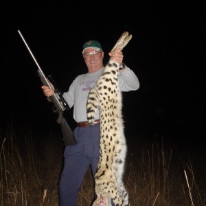 Nice big male serval !