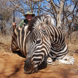 Zebra - Spiral Horn Safaris