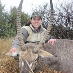 Waterbuck - South Africa