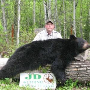 350lbs Black Bear Canada