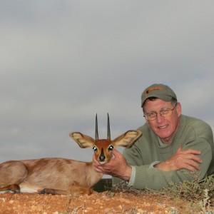 Steenbok South Africa