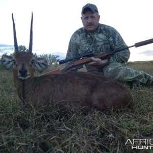 Steenbok