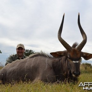 Nyala