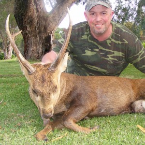 Hog Deer Australia