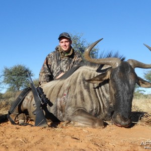 Hunter Birmingham Blue wildebeest bull