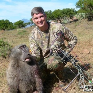 Eastern Cape baboon