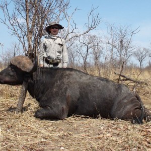 Zimbabwe Buffalo - 1