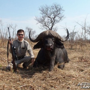 Zimbabwe Buffalo - 3