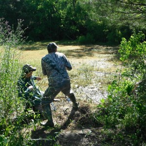 PULLING ON A BIG BULL GATOR