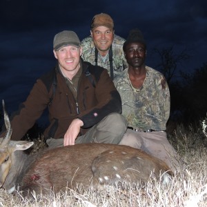 Bushbuck