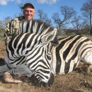 Finally...a zebra!